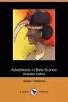 Adventures in New Guinea (Illustrated Edition) (Dodo Press) cover