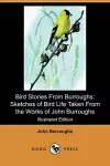 Bird Stories from Burroughs cover