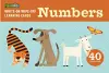 Write-On Wipe-Off Learning Cards: Numbers cover