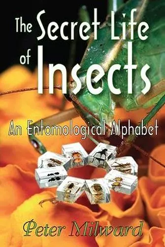 The Secret Life of Insects cover