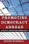 Promoting Democracy Abroad cover