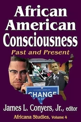 African American Consciousness cover