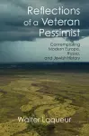 Reflections of a Veteran Pessimist cover