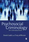 Psychosocial Criminology cover