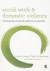 Social Work and Domestic Violence cover