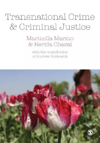 Transnational Crime and Criminal Justice cover