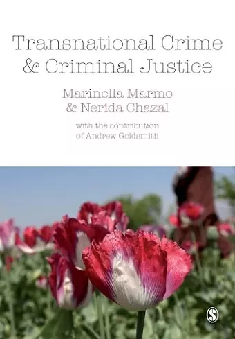 Transnational Crime and Criminal Justice cover