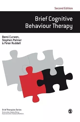 Brief Cognitive Behaviour Therapy cover