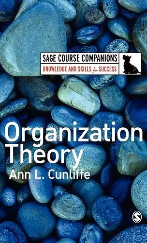 Organization Theory cover