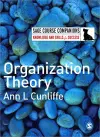 Organization Theory cover