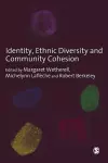 Identity, Ethnic Diversity and Community Cohesion cover