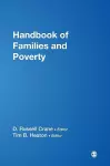 Handbook of Families and Poverty cover