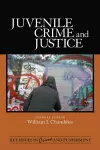 Juvenile Crime and Justice cover