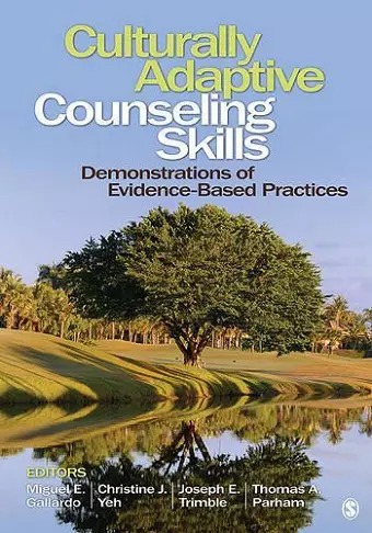 Culturally Adaptive Counseling Skills cover