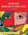 Feminist Research Practice cover