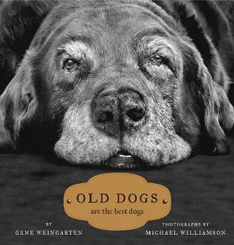 Old Dogs cover