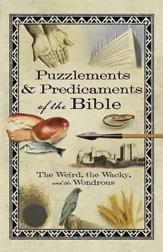 Puzzlements & Predicaments of the Bible cover