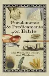 Puzzlements & Predicaments of the Bible cover