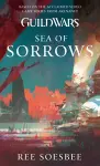 Guild Wars: Sea of Sorrows cover