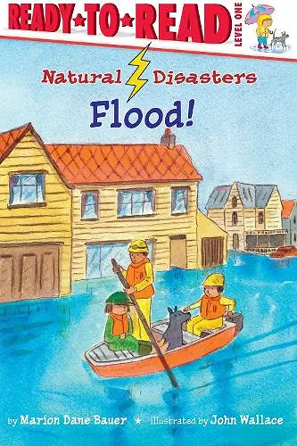 Flood! cover