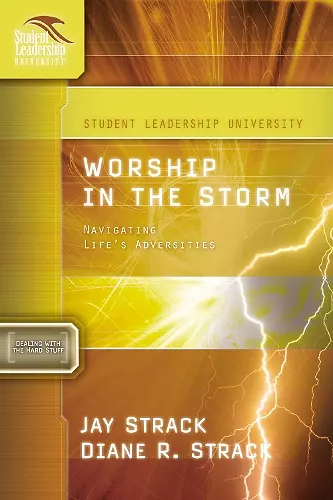 Worship in the Storm cover