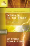 Worship in the Storm cover