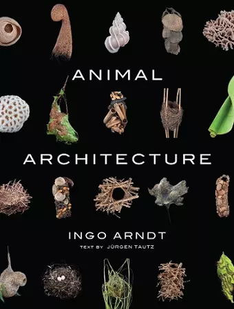 Animal Architecture cover