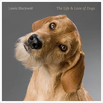 The Life and Love of Dogs cover
