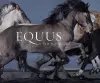 Equus (Mini) cover