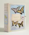 The Butterflies of Titian Ramsay Peale Notecards cover