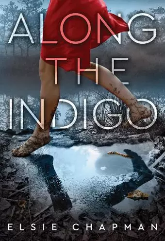 Along the Indigo cover