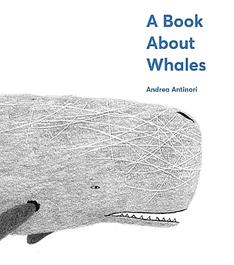 A Book About Whales cover