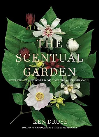 The Scentual Garden: Exploring the World of Botanical Fragrance cover