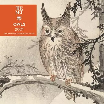 Owls 2021 Mini Wall Calendar cover