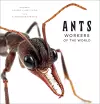 Ants: Workers of the World cover