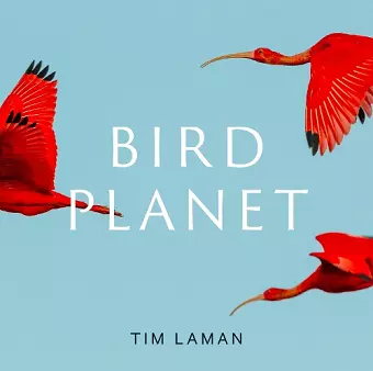 Bird Planet cover