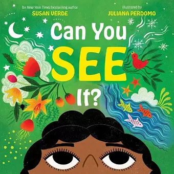 Can You See It? cover