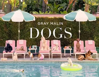 Gray Malin: Dogs cover