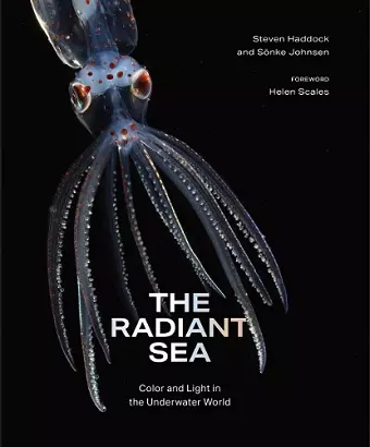 The Radiant Sea cover
