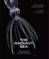 The Radiant Sea cover