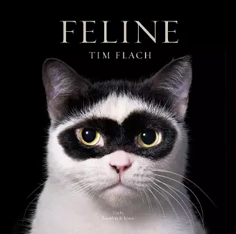Feline cover