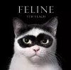 Feline cover