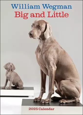 William Wegman Big and Little 2025 Wall Calendar cover