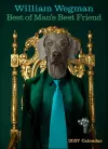 William Wegman Best of Man's Best Friend 2027 Wall Calendar cover