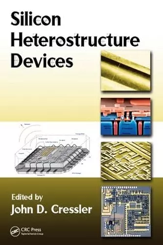 Silicon Heterostructure Devices cover