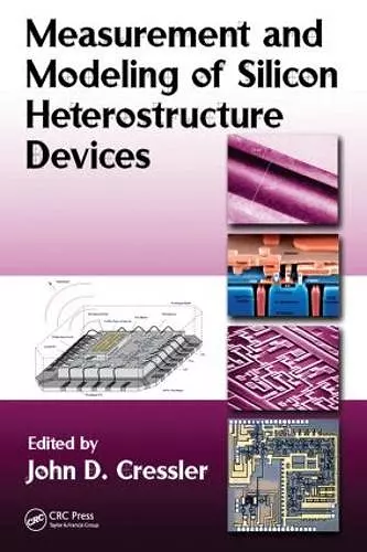 Measurement and Modeling of Silicon Heterostructure Devices cover