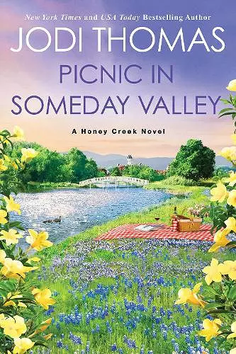 Picnic in Someday Valley cover
