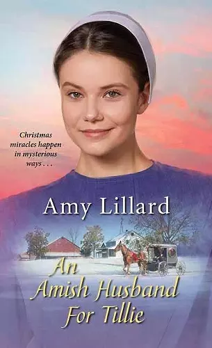 Amish Husband for Tillie cover