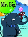 Mr. Big & Miss Little cover