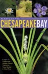 Plants of the Chesapeake Bay cover